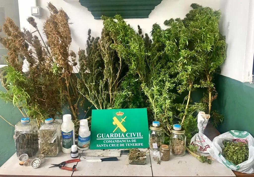 Marihuana Guardia Civil fotograf&iacute;a-3_Fotor