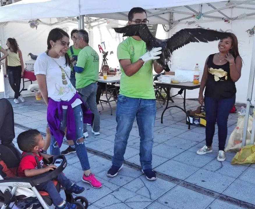 Festival de la Pardela (7)_Fotor