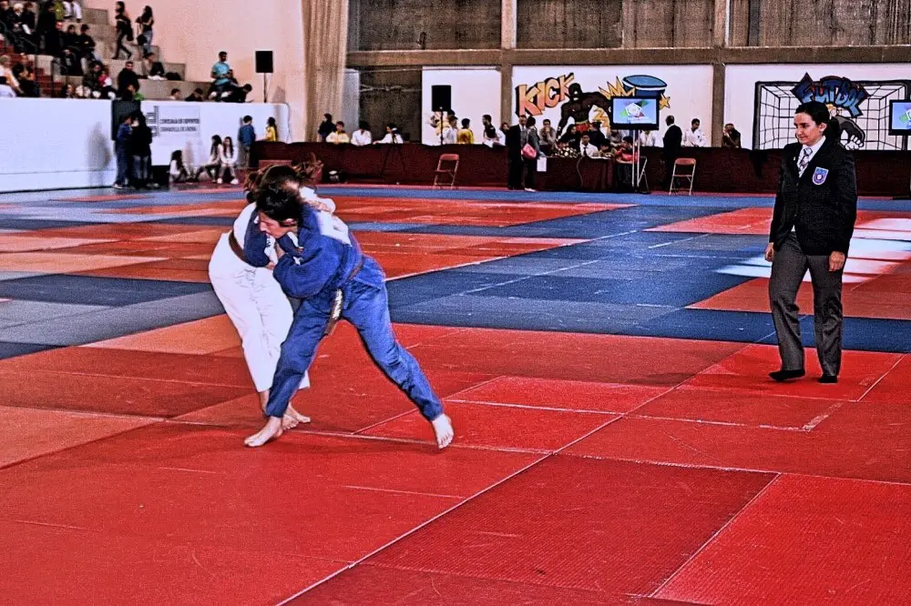 Judo-2_Fotor