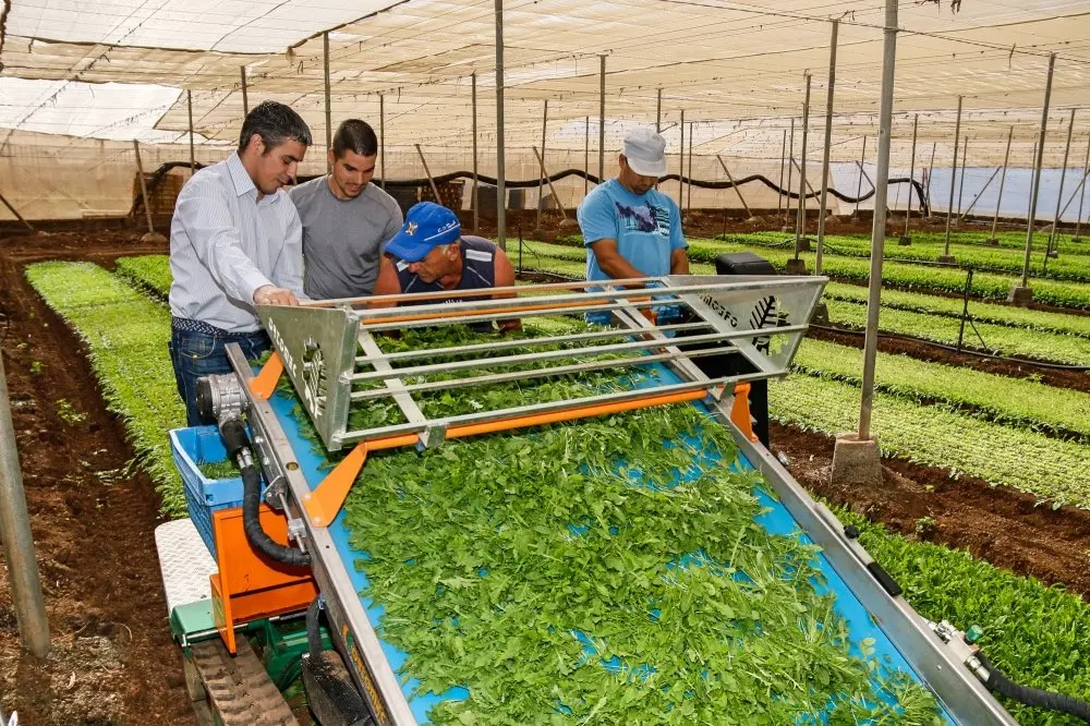 Visita del consejero de agricultura del Gobierno de Canarias, Narvay Quintero, a empresas agr&iacute;colas y tecnol&oacute;gicas del sur de Tenerife.
Finca Granadillos
&copy; Pepe Torres