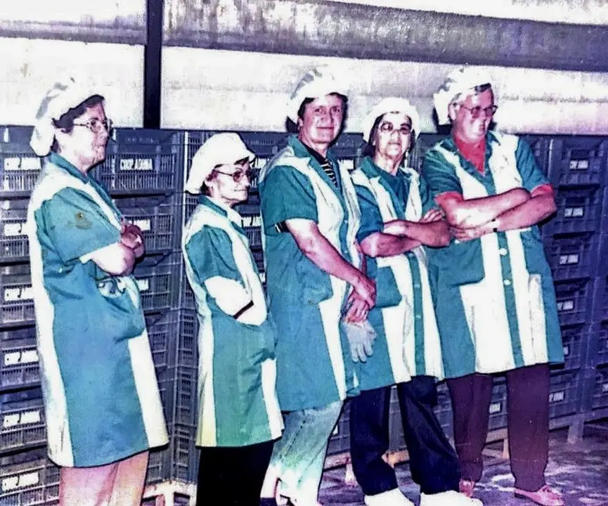 Mujeres trabajadoras de la Cooperativa en Arico_Fotor