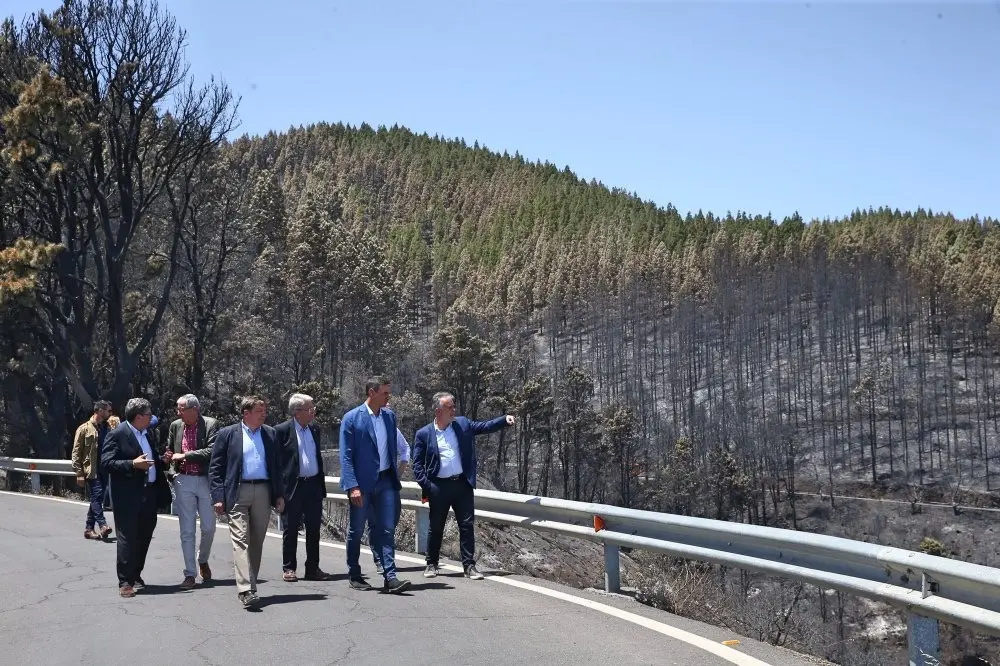 Presidente S&aacute;nches Incendio Ryt_Fotor