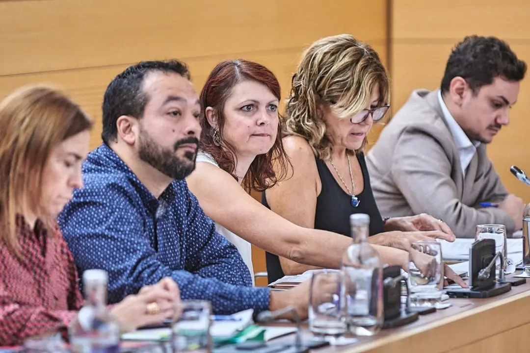 Grupo S&iacute; Podemos Canarias - Pleno Cabildo 311019_Fotor