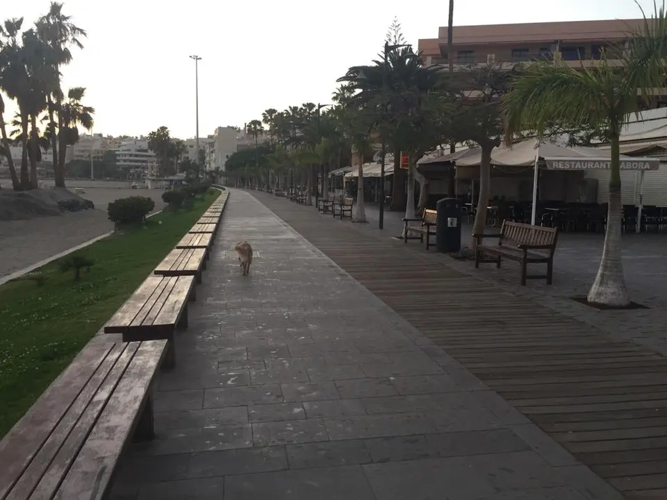 Sol del Sur, Cero turistico en Tenerife, orden ministerial alerta coronavirus (Los Cristianos, Arona, 19 marzo 2020)