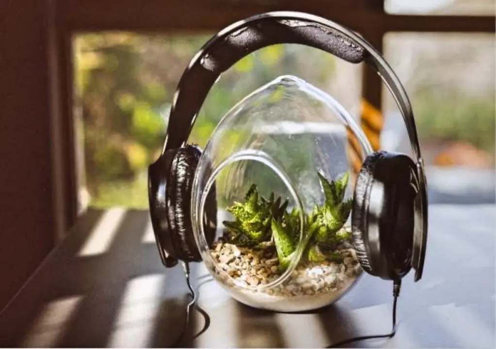 es_buena_la_musica_para_las_plantas_1304_600_Fotor