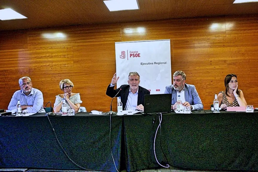 ejecutiva Psoe Torres 01_Fotor