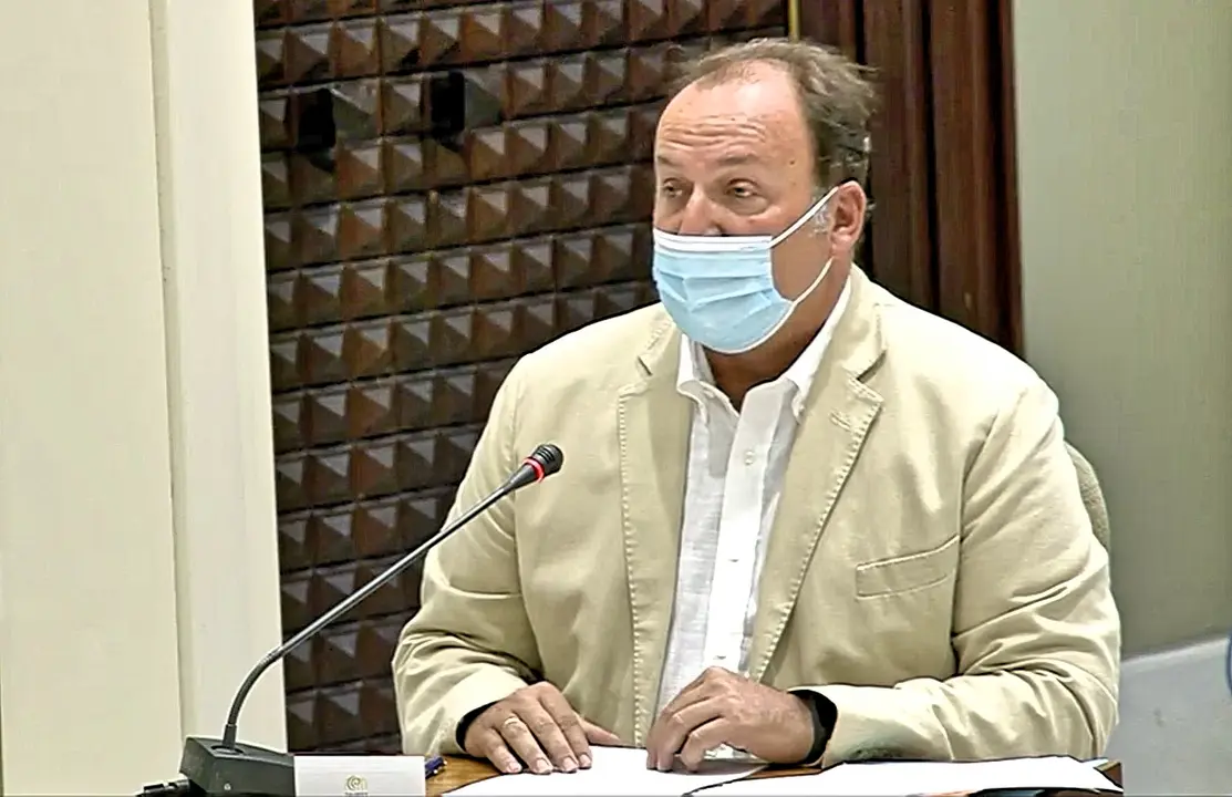 31082020 Ricardo Fern&aacute;ndez de la Puente (Cs) en la comparecencia de las patronales tur&iacute;sticas de las Islas ante el Parlamento de Canarias_Fotor