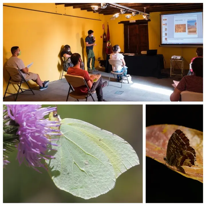 Curso Maripopsa abeja Fotor