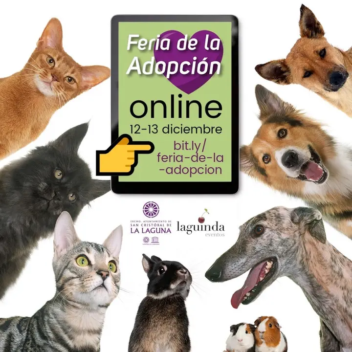 Cartel-Feria-animales-online_Fotor