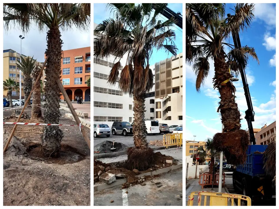 Medano obras _Fotor