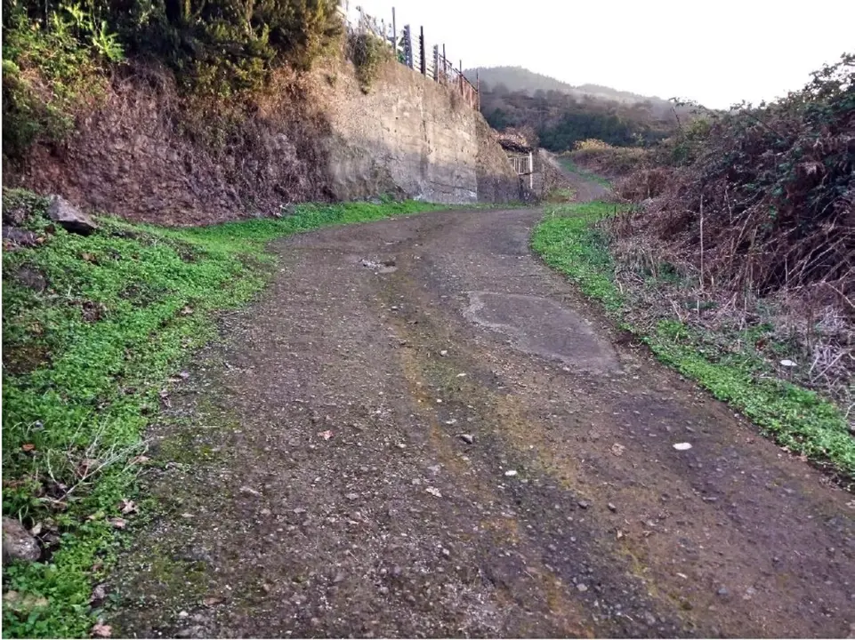 Camino agr&iacute;cola de La Fonseca_Fotor