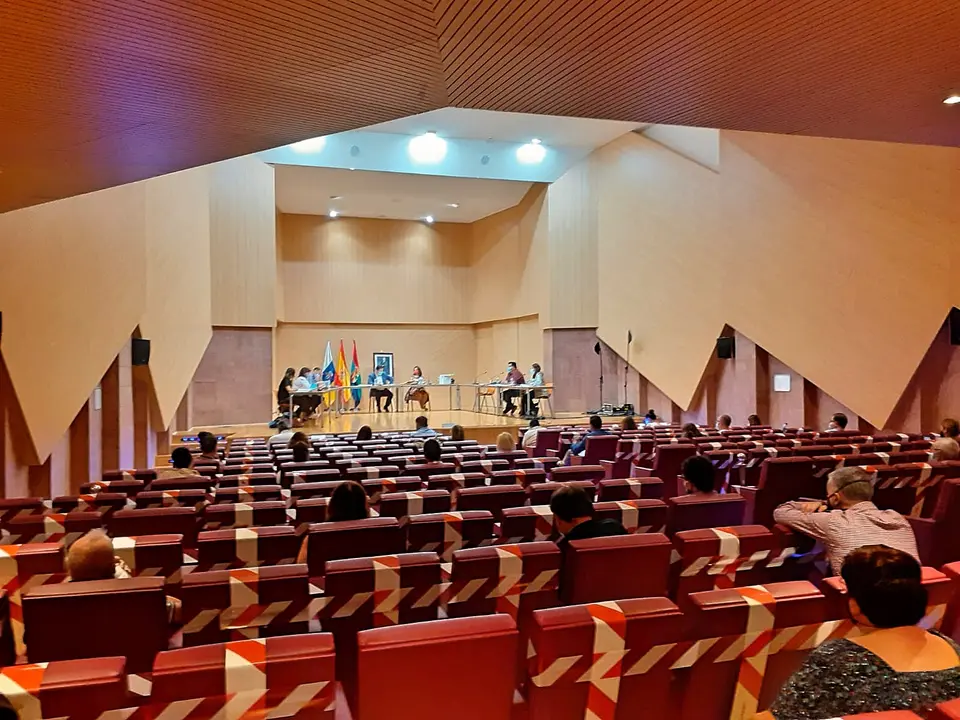 Arona Pleno 25 Marzo 2021_Fotor