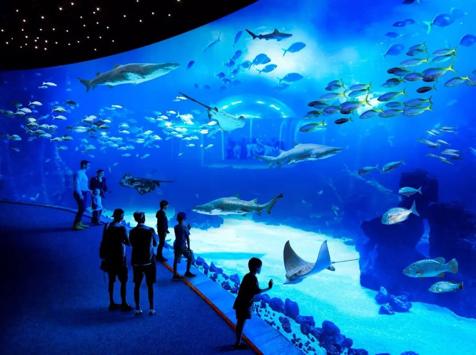 acuario-poema-del-mar-ampl&iacute;a-horario (3)_Fotor