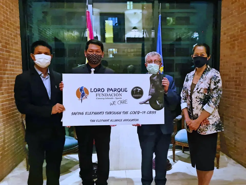 donaci&oacute;n-lpf-elefantes-tailandia 01_Fotor