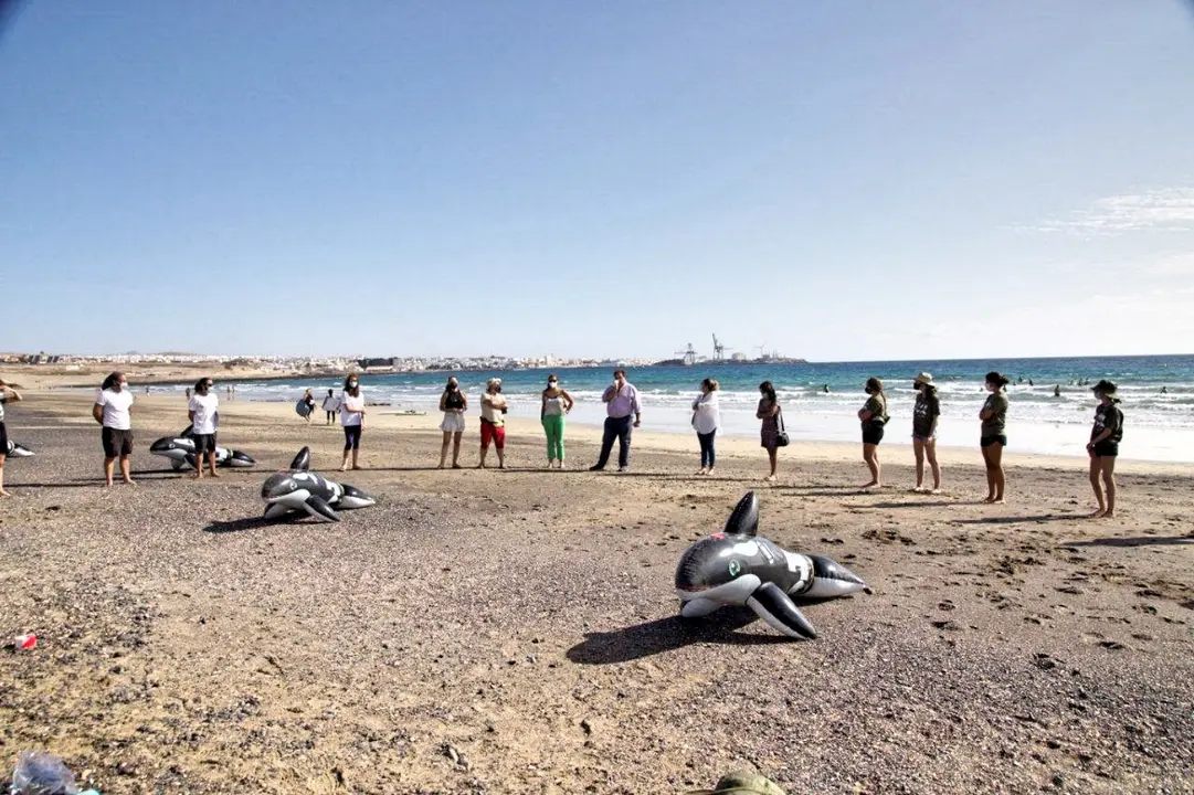 Cetaceos simulacro-varamiento-ponton-lpf-03