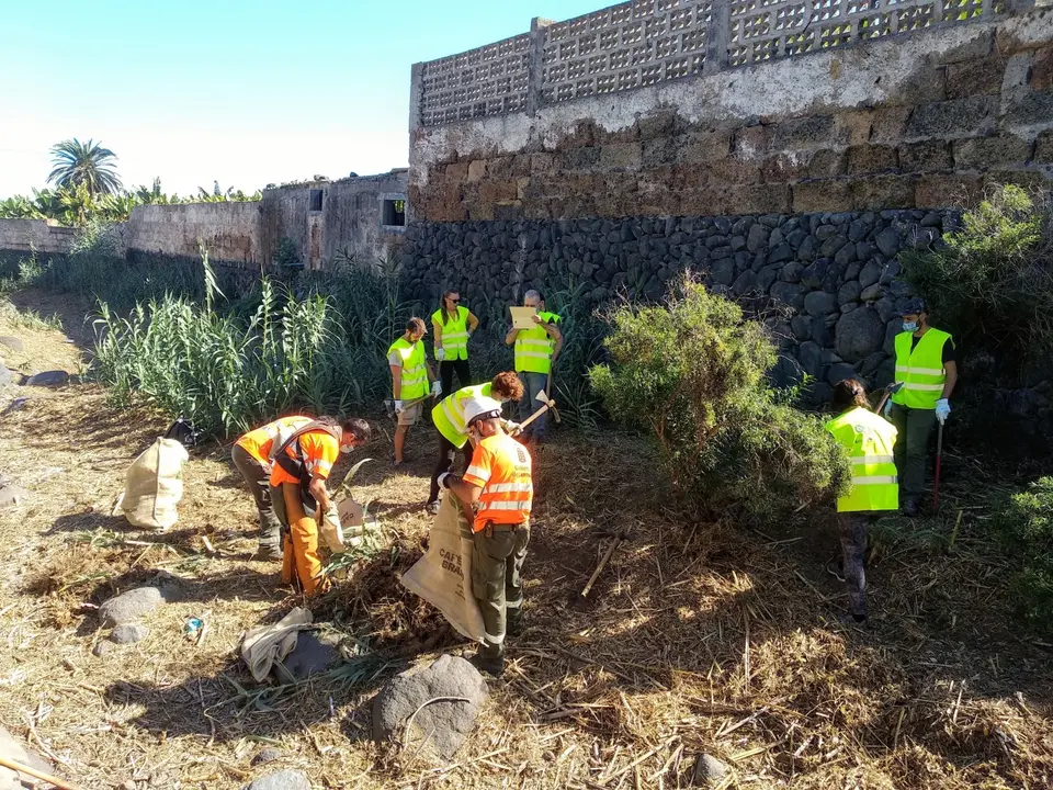 Transici&oacute;n Ecol&oacute;gica Jornada ca&ntilde;aberales 1(1)
