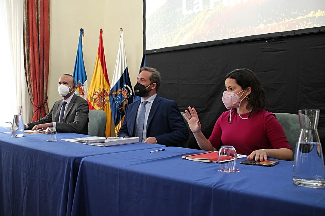plan renace la palma