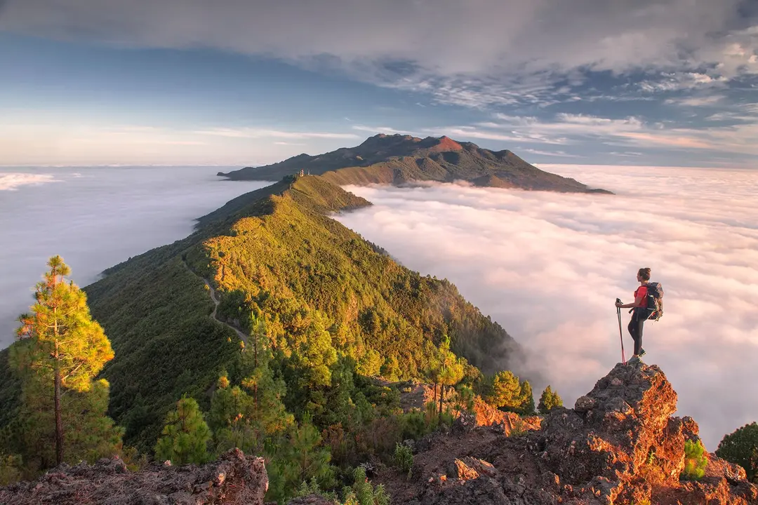 Viaje a La Palma_Fotor