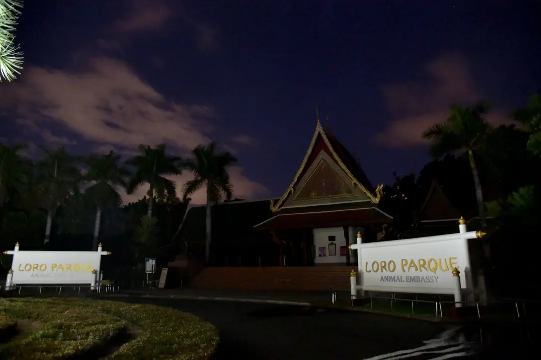 Loro Parque apag&oacute; las luces en La Hora del Planeta. Foto Mois&eacute;s P&eacute;rez 80efb3503(1)