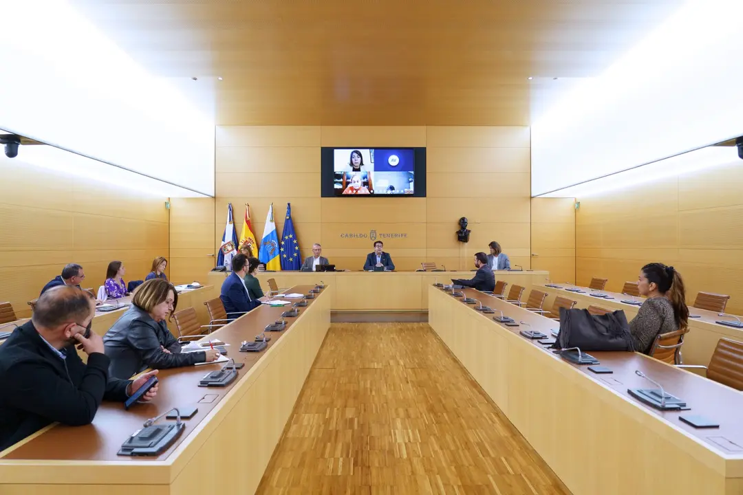 20220422-cabildo_pedro-martin-berta-perez-reuni&oacute;n-telem&aacute;tica-015(1)
