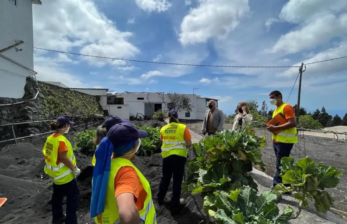 Gesplan La Palma(1)