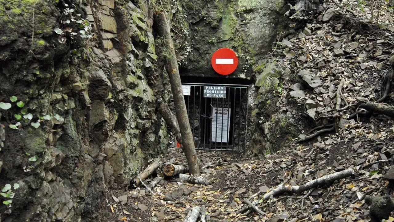 Galer&iacute;a Agua Piedra Cochinos