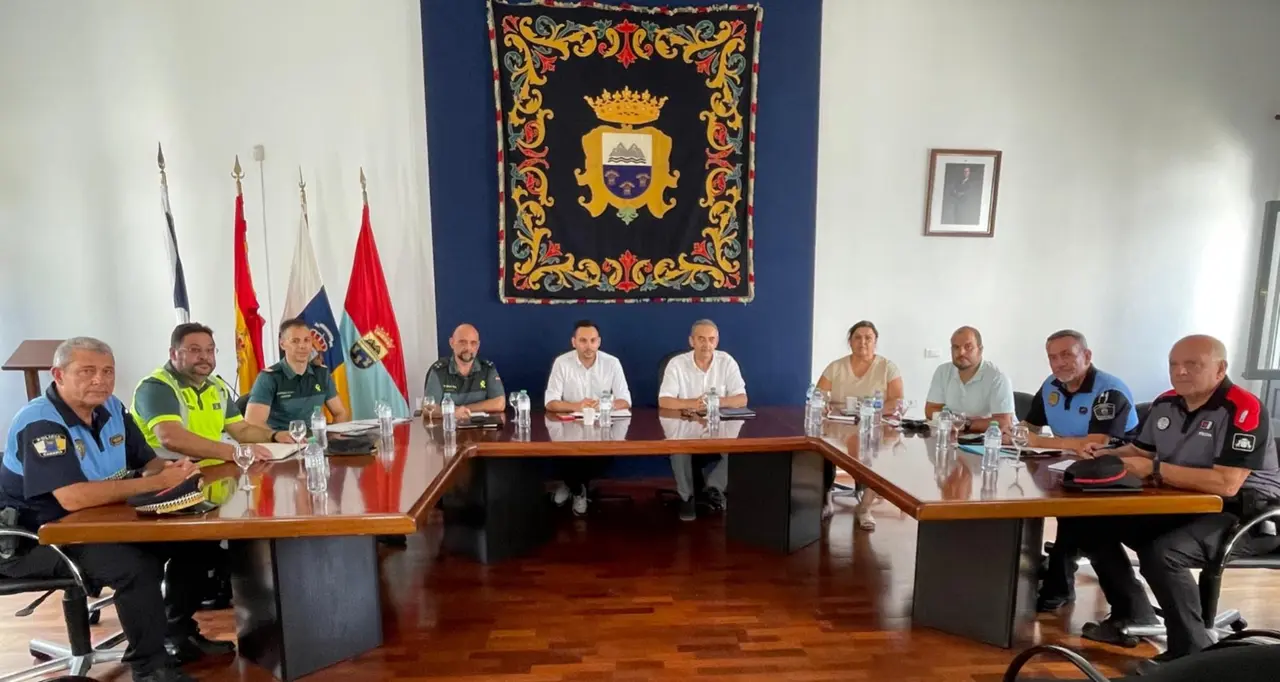 junta seguridad Fasnia