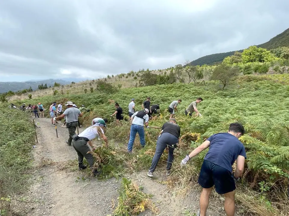 38 marines de la Armada estadounidense colaboran con la Fundaci&oacute;n Foresta en labores de conservaci&oacute;n en la cumbre grancanaria 1(1)