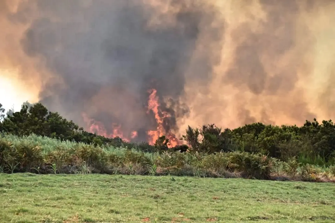Incendio laguna esperanza 17-13-56(1)