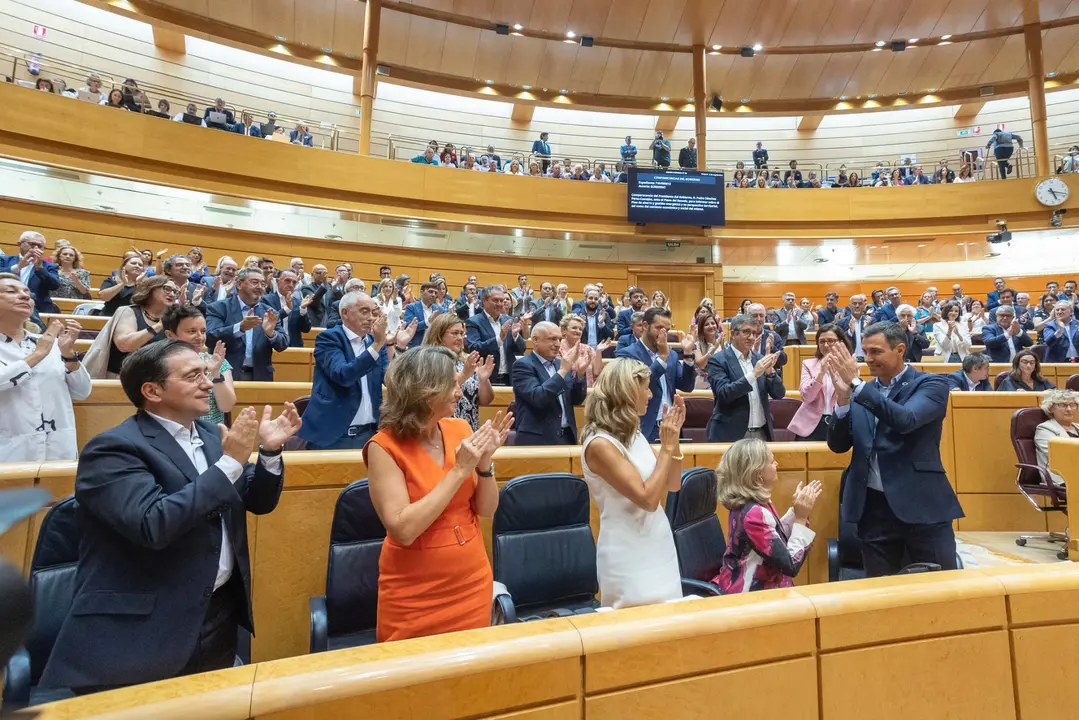 Foto Grupo Socialista Senado
