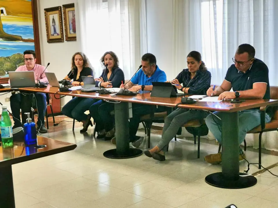 PSOE Arico Pleno Septiembre