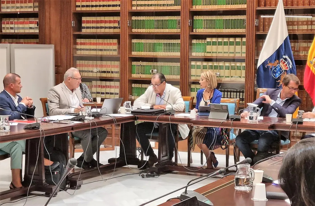 Momento de la intervenci&oacute;n en la Comisi&oacute;n