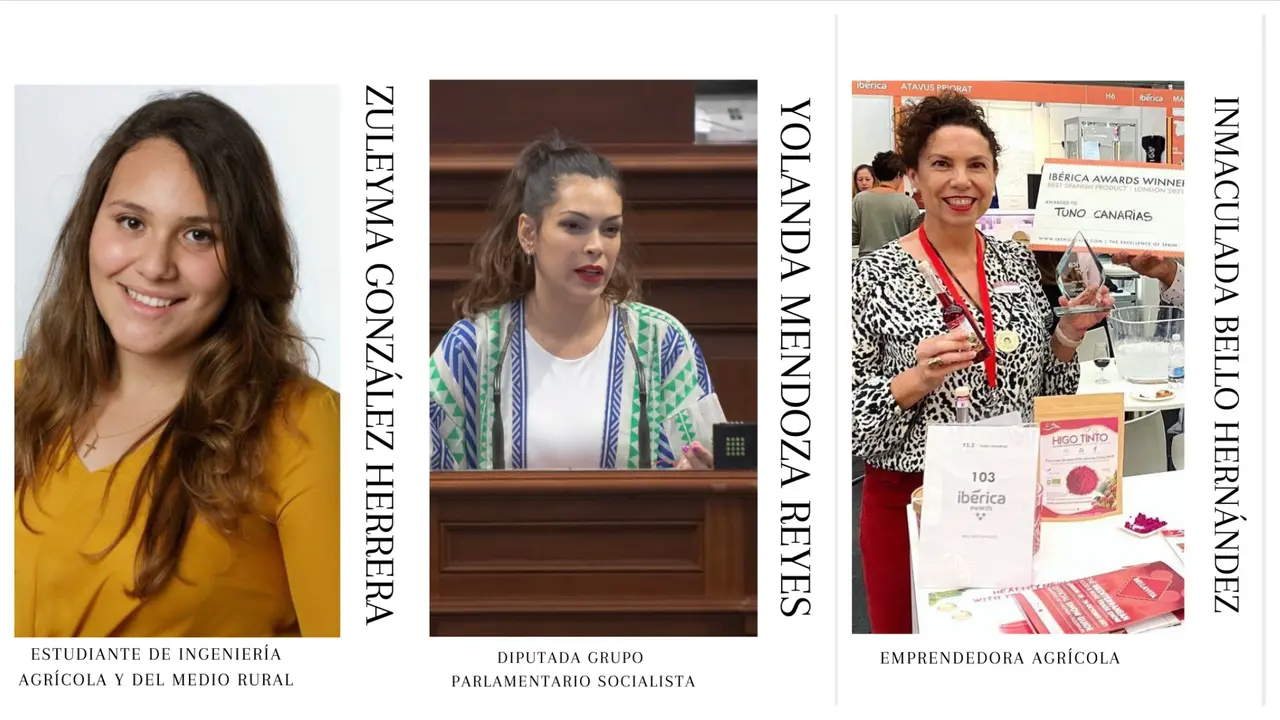 Psoe San miguel Collage