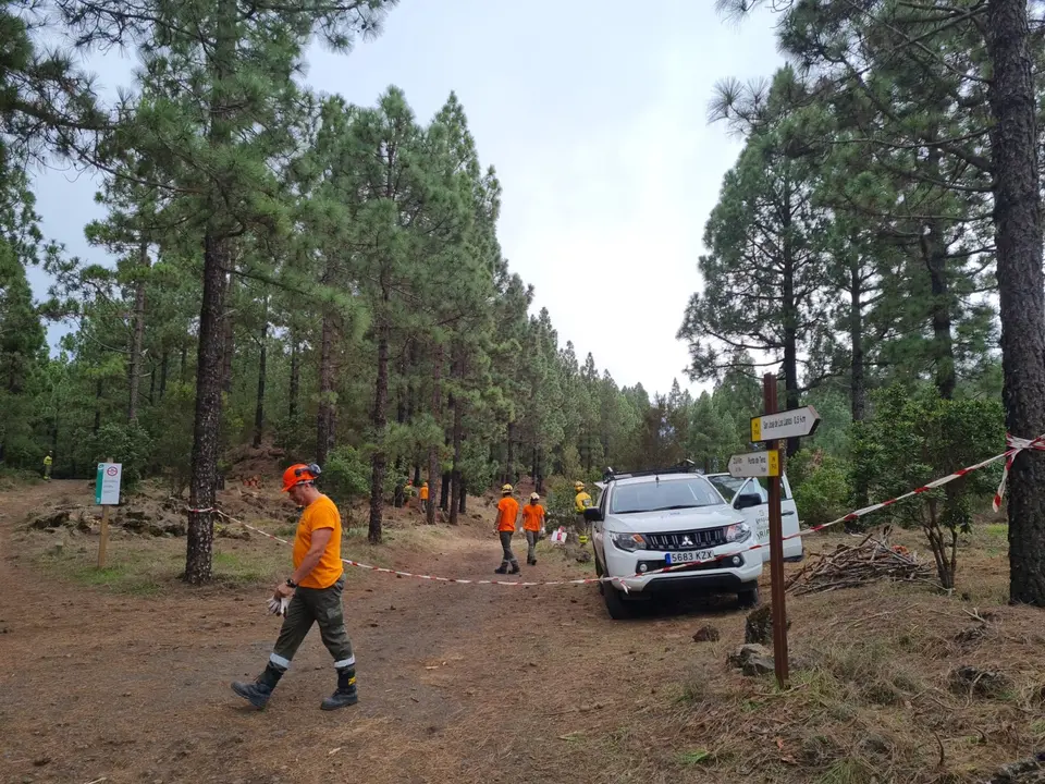 20221212 repoblaciones forestal