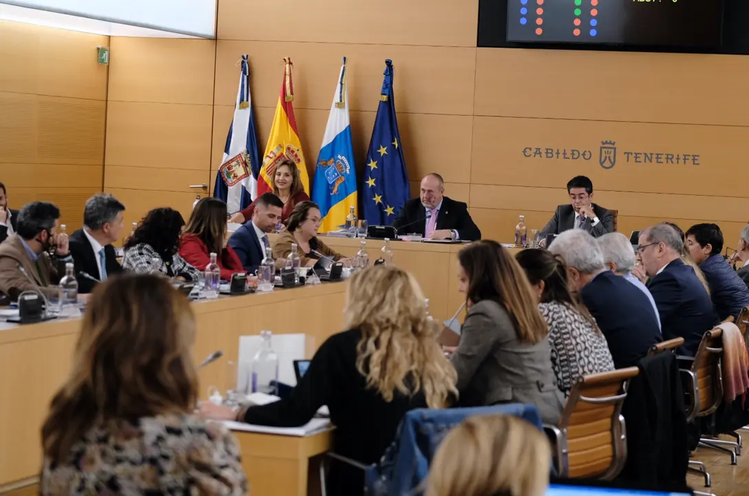 Cabildo 20221216_Pleno_Extraordinario (110) (1)(1)