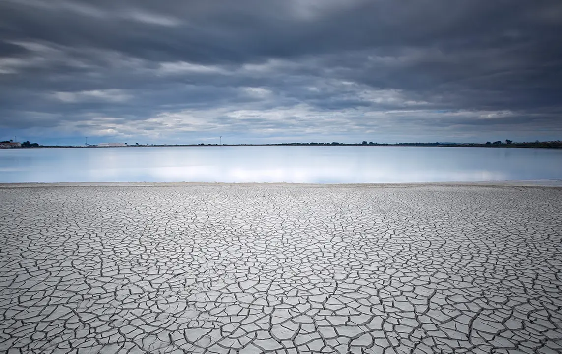 1&ordm; Premio del Concurso FotoRural 2022, de Vicente Guill Fuster. Santa Pola (Alicante)