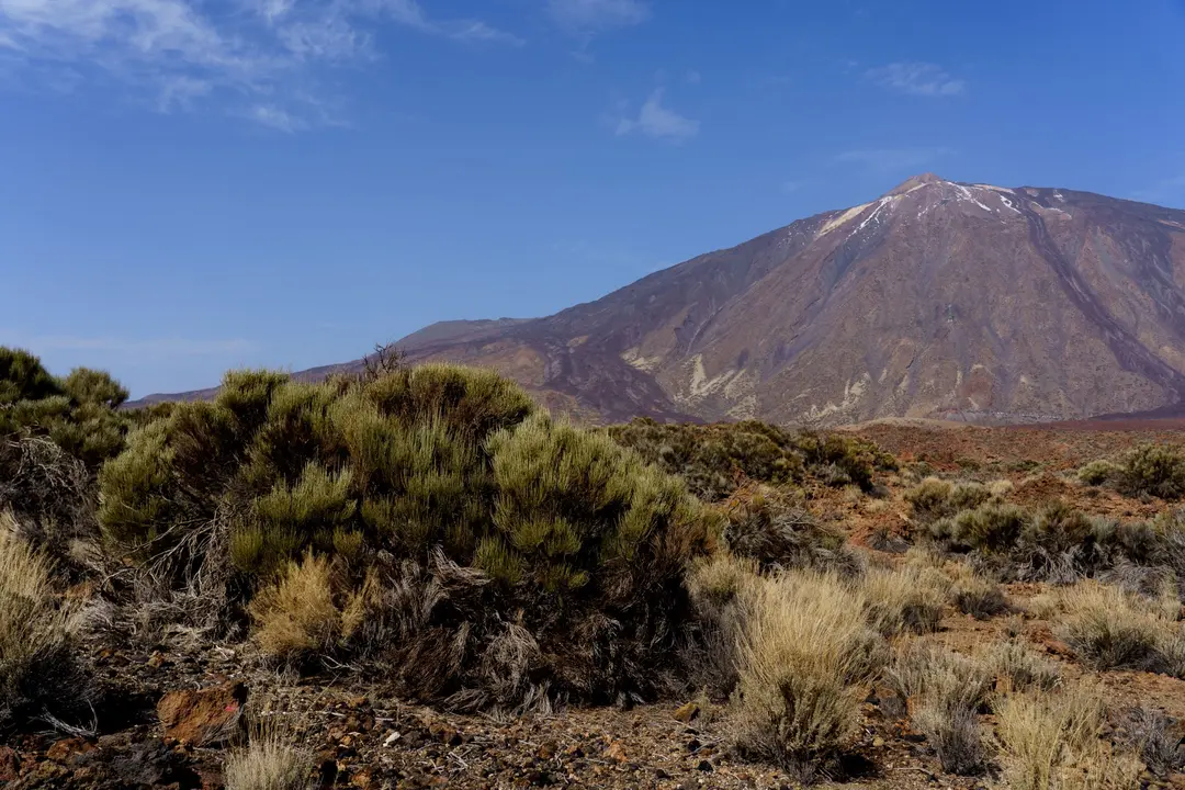 Visita al Parque Nacional del Teide