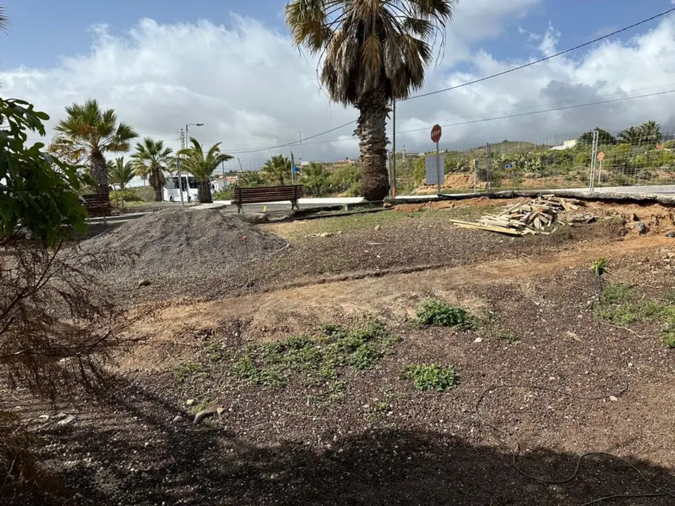 parque-arico-viejo