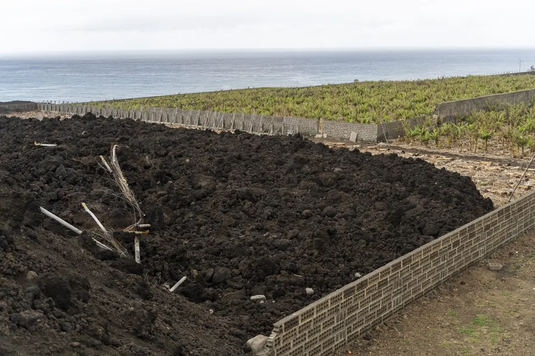 Fincas afectadas por la lava en el Valle de Aridane(1)