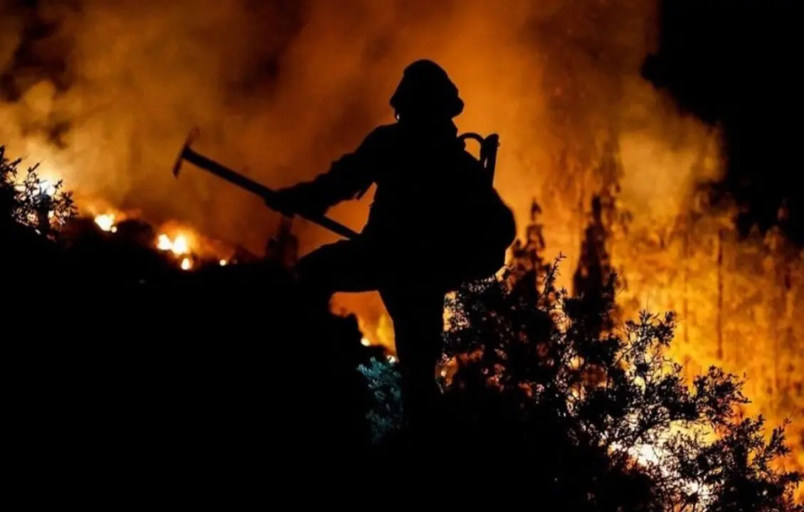 Incendio tenerife Norte