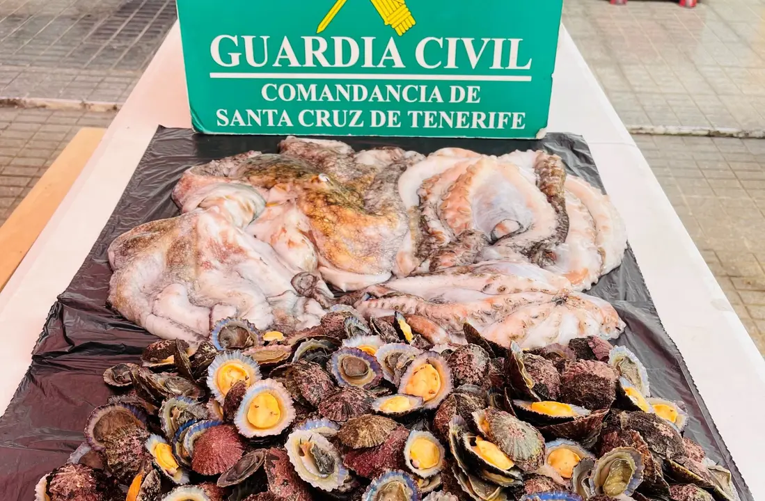 Pulpos y lapas Guerdia Civil