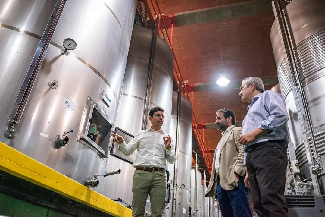 Visita de los consejeros Valent&iacute;n Gonz&aacute;lez y Manuel Fern&aacute;ndez a Bodegas Insulares(1)