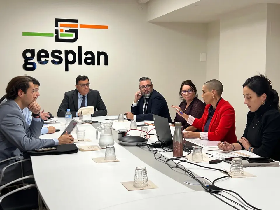 Consejo de Administraci&oacute;n de GESPLAN 1