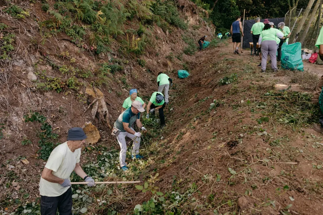 Voluntariado ambiental VA(1)