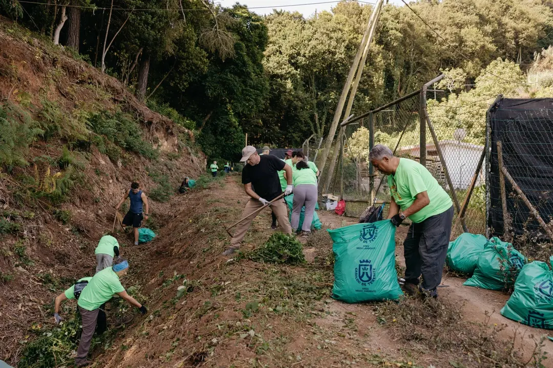 Voluntariado Ambiental-Erradicaci&oacute;n flora ex&oacute;tica(1)