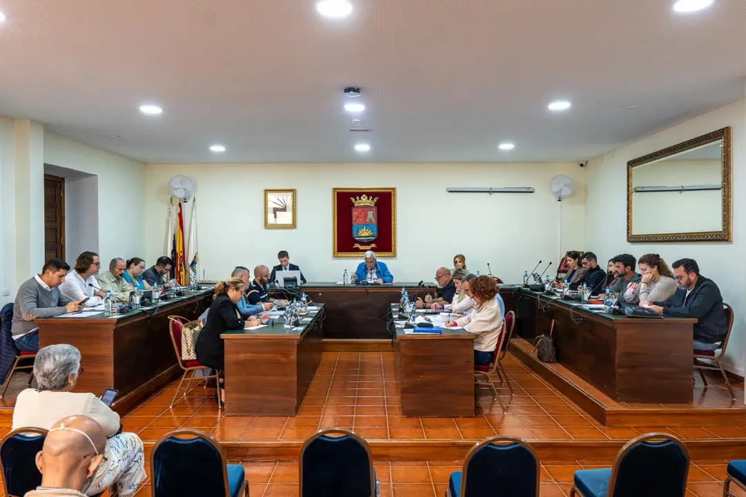 2024-04-03 Pleno Adeje