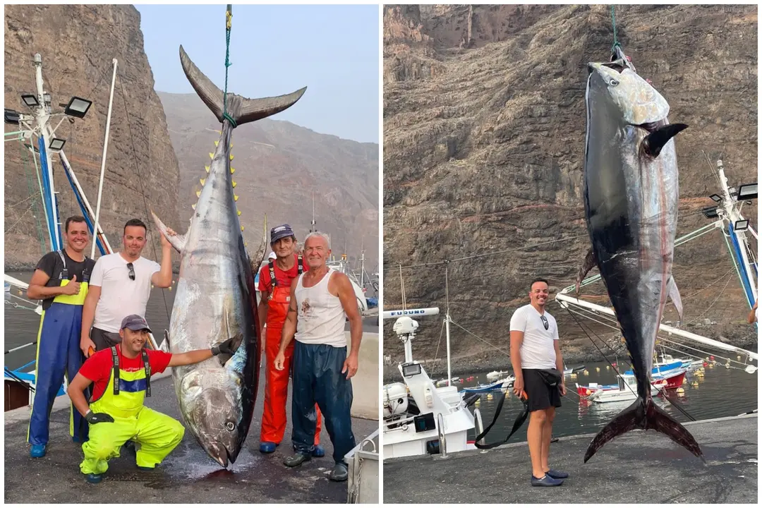 At&uacute;n Rojo La Gomera