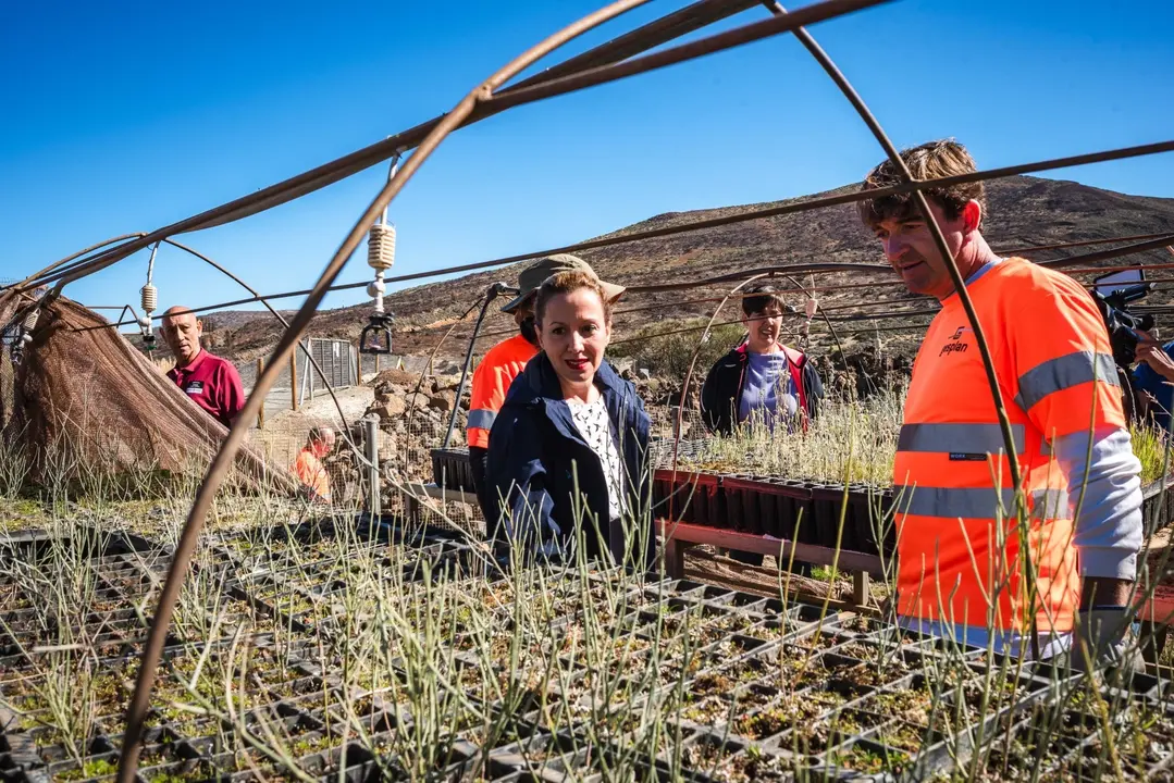 Cabildo PNT-Vivero Teide 00(1)