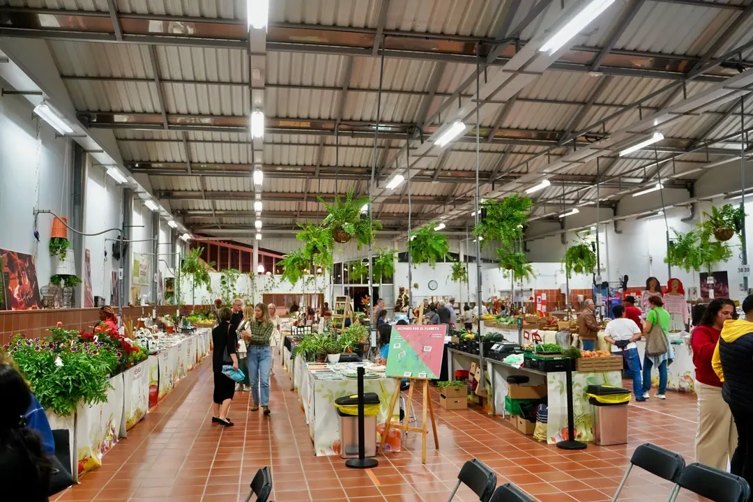 Arona Mercado Agricultor 1(1)
