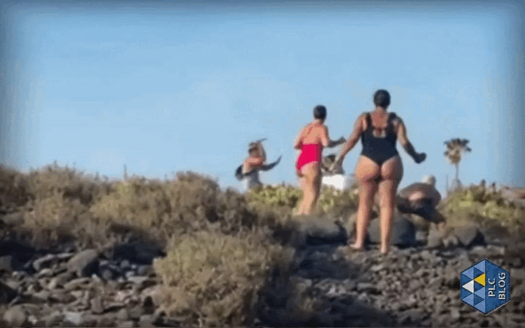 GIF+01.gif